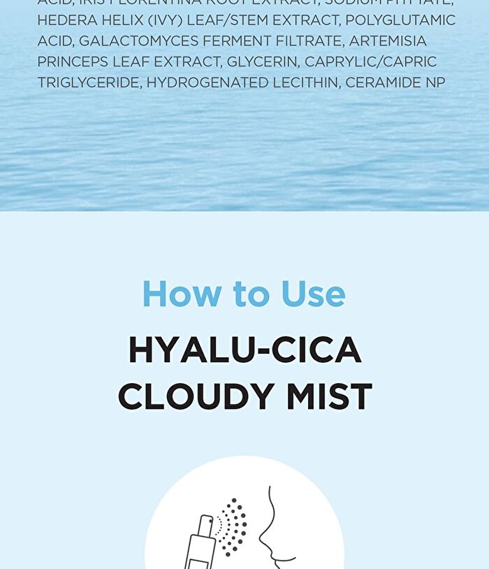 SKIN1004 Madagascar Centella Hyalu-Cica Cloudy Mist - 2024 Version - 120ml