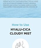 SKIN1004 Madagascar Centella Hyalu-Cica Cloudy Mist - 2024 Version - 120ml