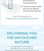 SKIN1004 Madagascar Centella Hyalu-Cica Cloudy Mist - 2024 Version - 120ml
