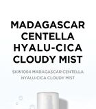 SKIN1004 Madagascar Centella Hyalu-Cica Cloudy Mist - 2024 Version - 120ml