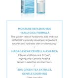 SKIN1004 Madagascar Centella Hyalu-Cica Cloudy Mist - 2024 Version - 120ml
