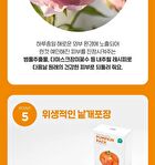 SKIN1004 ZOMBIE BEAUTY Pumpkin Pack - 1 set