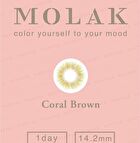 Molak 1 Day Color Lens Coral Brown 10 pcs - P-8.50 (10 pcs)