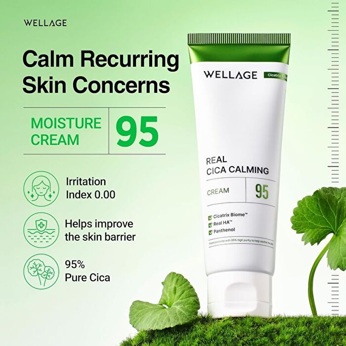 Wellage Real Cica Calming 95 Cream - 80ml