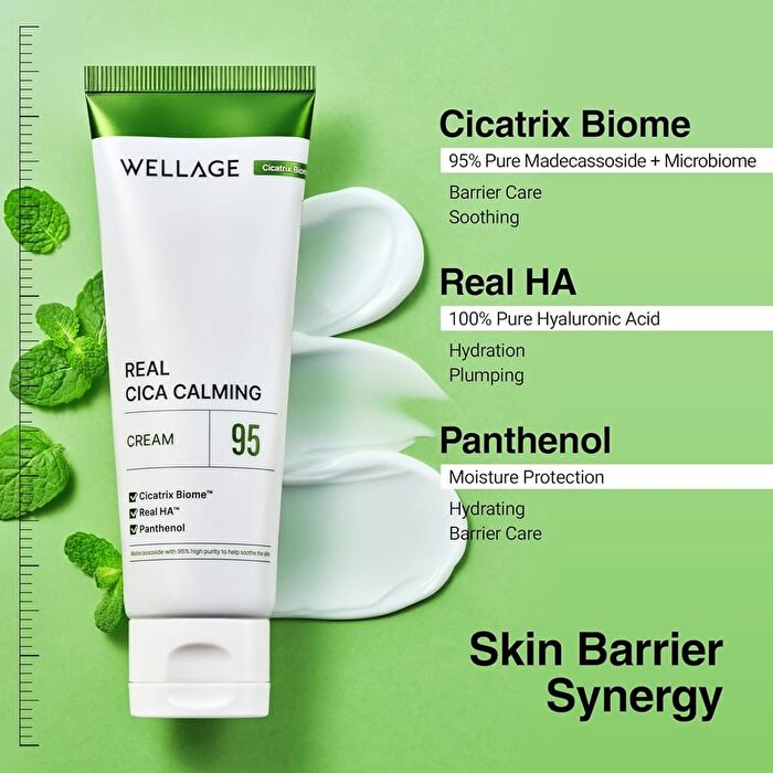 Wellage Real Cica Calming 95 Cream - 80ml