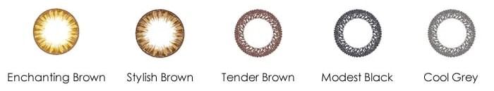 Lacelle 1 Day Limbal Ring Color Lens Tender Brown 30 pcs - P-4.75 (30 pcs)