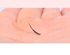 Coringco Toktok-Hara Filter Eyelash - 4 Types - Black - 9mm
