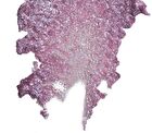 Pretty Easy Glitter Stick Renewal - 7 Colors - Glitter No°3 Brave