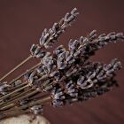 Aromatica Ritual Hair Oil - 50ml