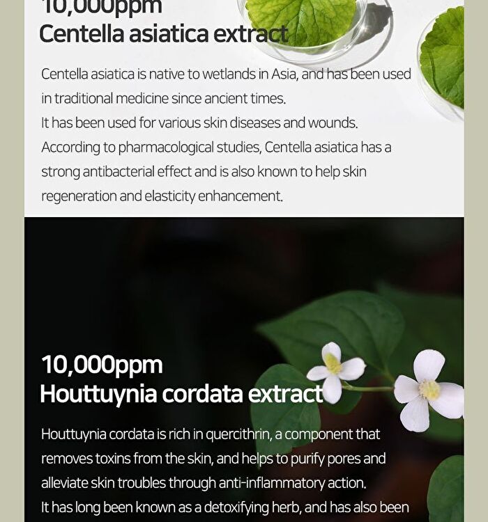 Mary&May Cica Houttuynia Tea Tree Calming Mask - 30 sheets