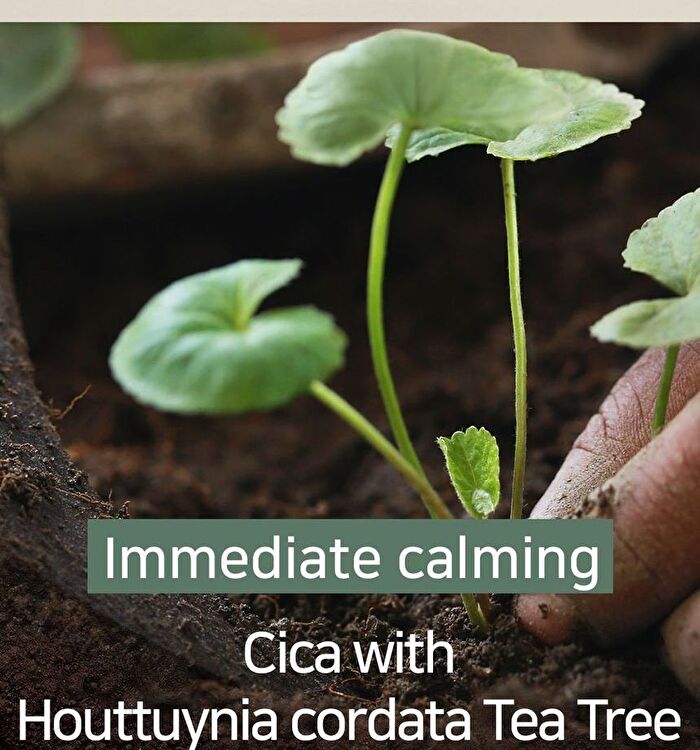 Mary&May Cica Houttuynia Tea Tree Calming Mask - 30 sheets