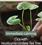 Mary&May Cica Houttuynia Tea Tree Calming Mask - 30 sheets
