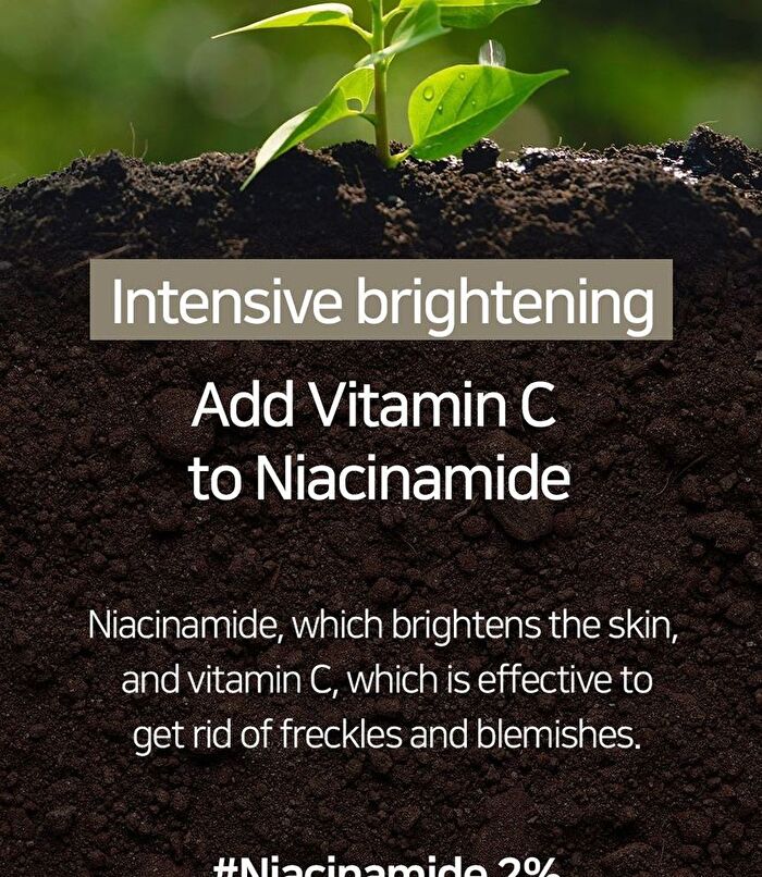 Mary&May Niacinamide Vitamin C Brightening Mask - 30 sheets
