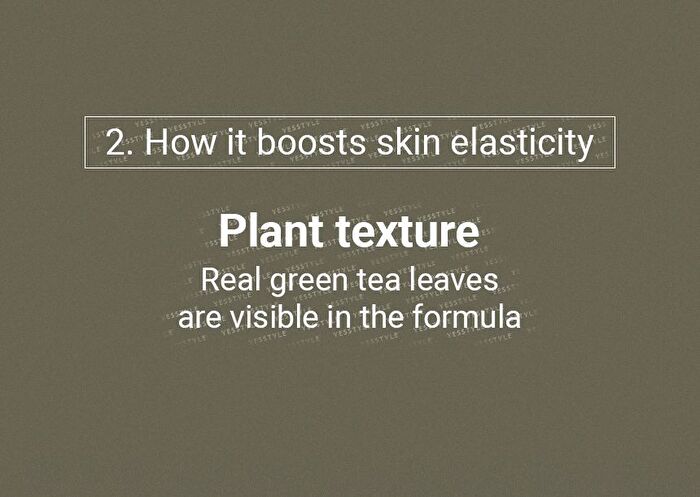 Green Tea Serum - 80ml
