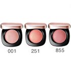 DECORTE Cream Blush - PK850
