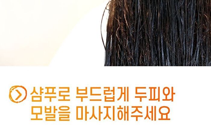 Cer-100 Collagen Coating Hair Muscle Shampoo - 500ml