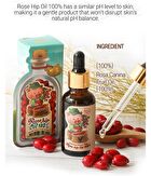 Farmer Piggy Rose Hip Oil 100% - 30ml