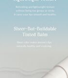 Soul Vegan Lip Balm - 4 Colors - Rosy