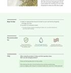 Beauty of Joseon Green Plum Refreshing Cleanser - 100ml