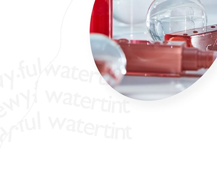 romand Dewyful Water Tint - 8 Colors - #08 Berry Divine