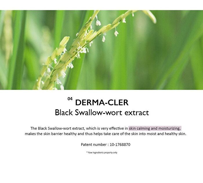 haruharu wonder Black Rice Hyaluronic Botanical 2GF Wonderful Ampoule - 30ml