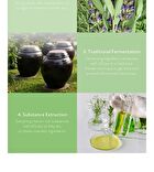 too cool for school Natural Vita Mask - 5 Types - Brightening (Lemon)