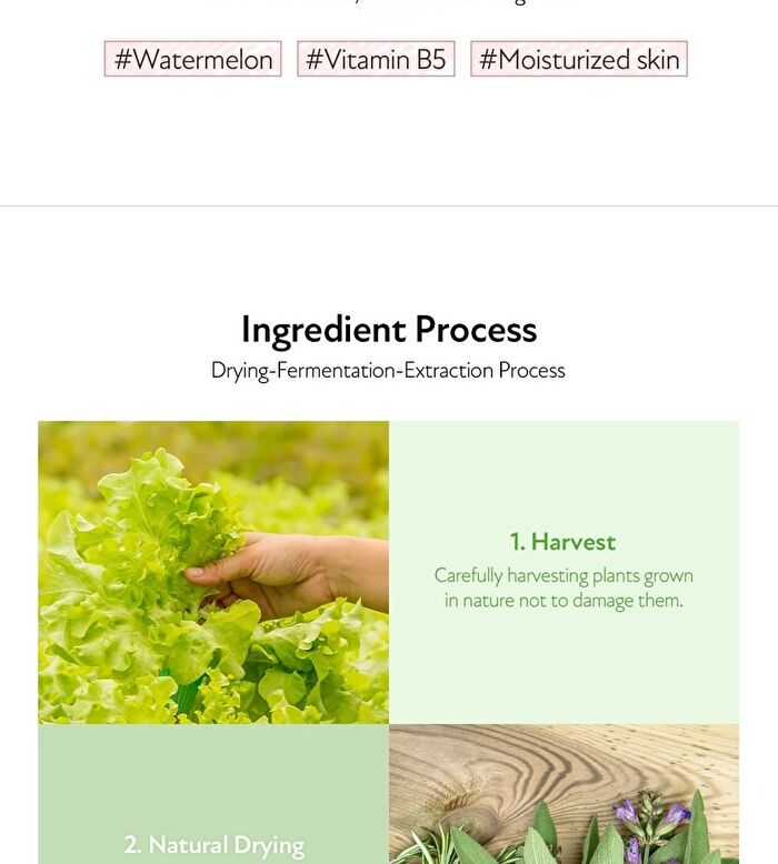 too cool for school Natural Vita Mask - 5 Types - Hydrating (Watermelon)