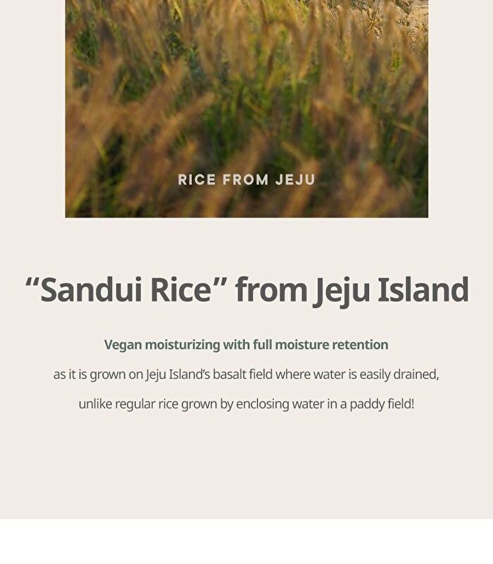 Vegan Rice Milk Moisturizing Cream - 70ml