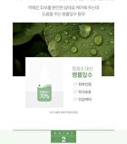 Graymelin Madecassoside Ampoule - 50ml