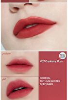 Fixing Tint - 11 Colors - #10 Smoky Cherry