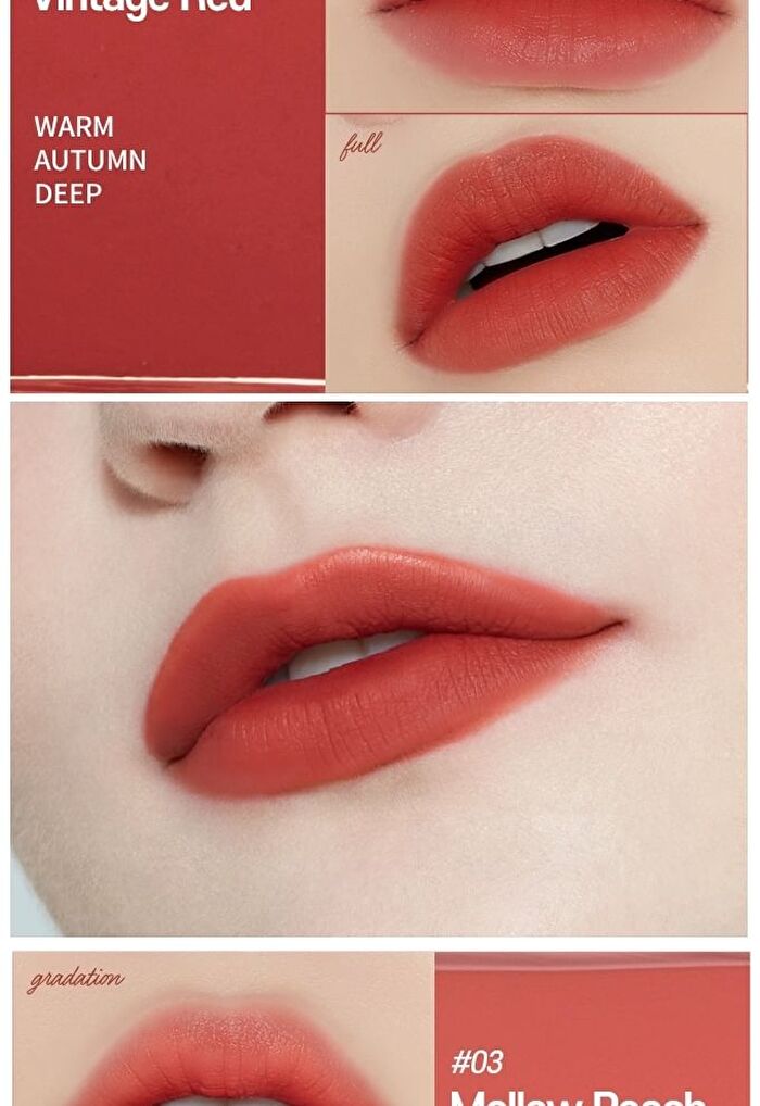 Fixing Tint - 11 Colors - #11 Rose Blending