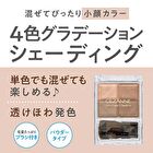 Mix Color Cheek N - 20 Brown Shading