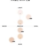 Blur Powder Pact - 6 Colors - #03 Natural