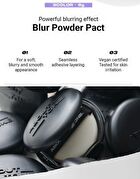 Blur Powder Pact - 6 Colors - #02 Light