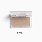 Shading Powder - S001