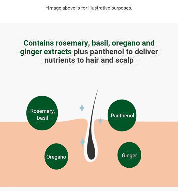 Aromatica Rosemary Scalp Scrub - NEW - 165g