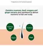Aromatica Rosemary Scalp Scrub - NEW - 165g
