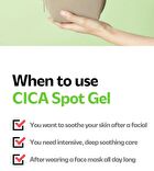 Isoi CICAGO Cica Spot Gel - 25g