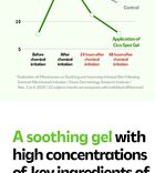 Isoi CICAGO Cica Spot Gel - 25g