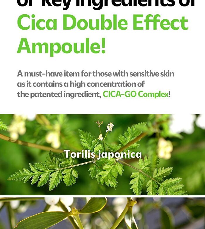 Isoi CICAGO Cica Spot Gel - 25g