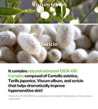 Isoi CICAGO Cica Spot Gel - 25g