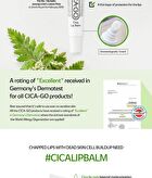 Isoi CICAGO Cica Lip Balm - 10g