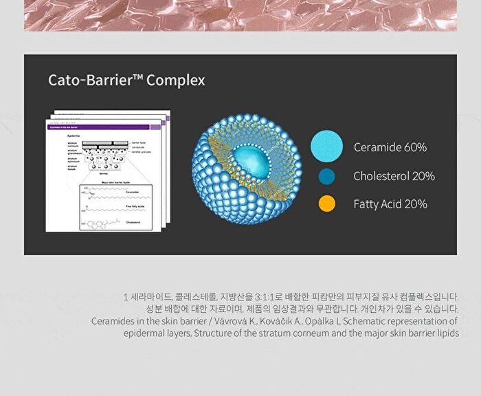 Cato Cream - 80ml