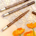 Canmake 3 In 1 Eyebrow - 02 Ash Brown