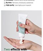 Mugwort Calming Cream - New Version - 50ml