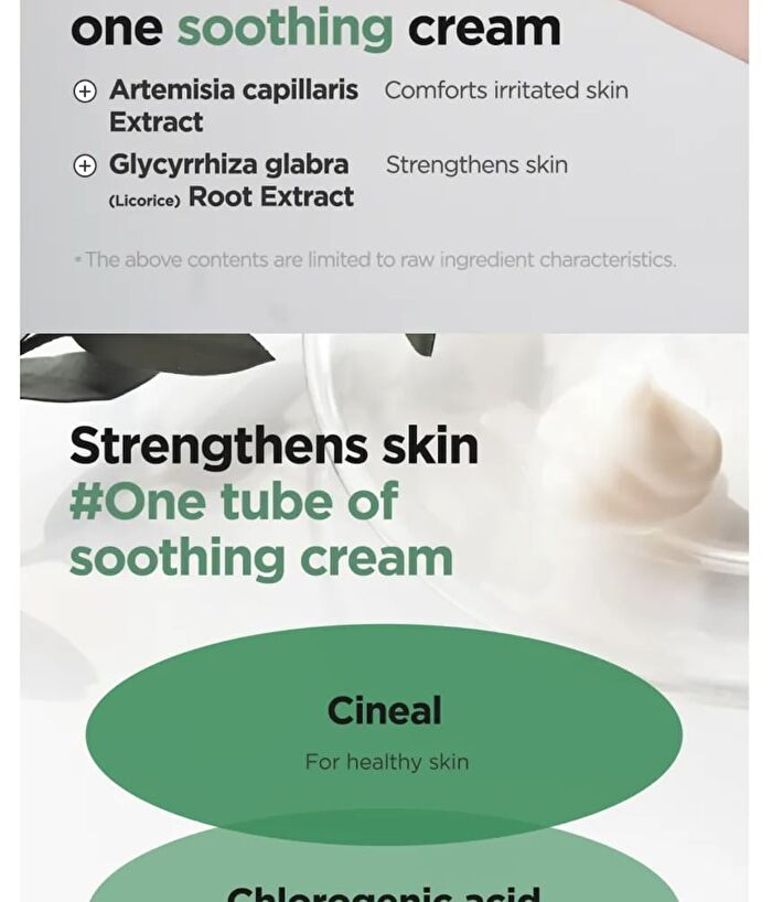 Mugwort Calming Cream - New Version - 50ml