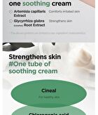 Mugwort Calming Cream - New Version - 50ml