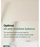 Mugwort Calming Cream - New Version - 50ml
