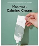 Mugwort Calming Cream - New Version - 50ml