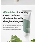 Mugwort Calming Cream - New Version - 50ml